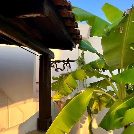 Praiamea - House With Sea View